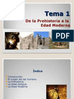 Tema 1 (I)