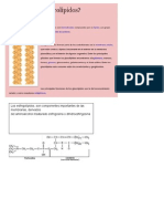 Los Esfingolípidos, Son Componentes Importantes de Las Membranas, Derivados Del Aminoalcohol Insaturado Esfingosina o Dihidroesfingosina