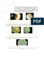 Informe de Biologia Muestreo de Papa