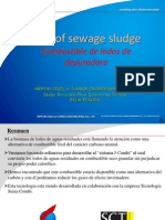 Fuel of Sewage Sludge