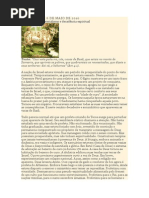 Estudo Vacas de Basã