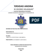 P1 CARATULA - Informe de Practicas Pre Profesionales