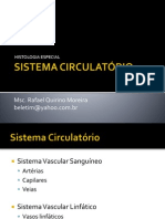 Sistema Circulatório