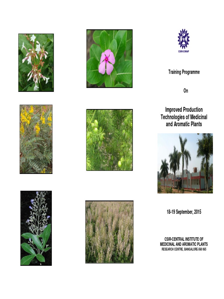 Training on Medicinal Plant Technologies | PDF | Business
