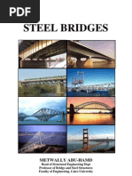 Steel Bridges by Metwally Abu-Hamd