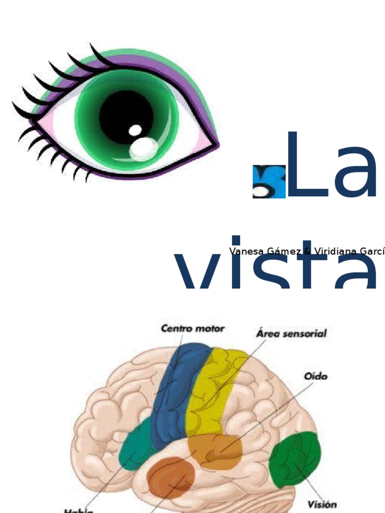 Sentido de La VistaUNEA Percepción visual Ojo humano