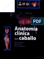 Anatomia Clinica Del Caballo