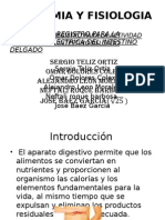 Registro de la actividad eléctrica del intestino delgado