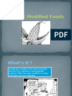 Genetic Modified Foods 