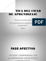 Didactica Del Ciclo de Aprendizaje