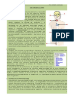 Sistema Endocrino