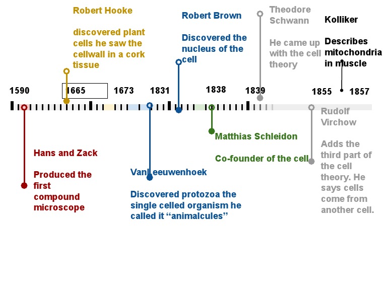 Key Discoveries in Cell Biology | PDF | Social Science | Philosophy