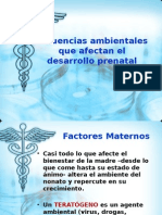 Influencias Desarrollo Prenatal