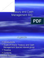 Treasury and Cash Management SIG