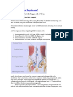 Hernia 2