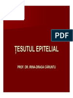 Curs 1 Tesutul Epitelial Ppt ummf iasi 