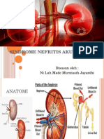 Sindrome Nefritis Akut-Case Anak