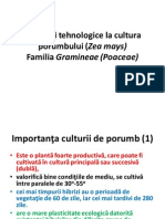 Porumbul Itinerarii Tehnologice La Cultura Porumbului (Zea Mays) Familia Gramineae (Poaceae)