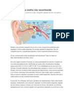 Barotrauma da orelha de mergulhador novato