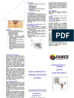 Cancer Cuello Uterino PDF