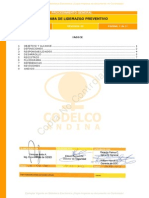 SGI-P-GE-116 Programa de Liderazgo Preventivo RV 00 PDF