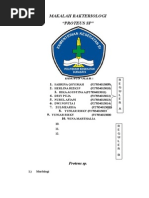 Download Makalah Bakteriologi Proteus by HerlinaRizkiPrianita SN280021528 doc pdf