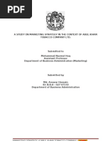 Download Anw Internship Report FINAL by Ronysars SN28004151 doc pdf