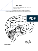AP Psych Anatomy The Brain - Coloring Worksheet - Visual Map