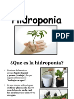 Cultivo Artificial HIDRO