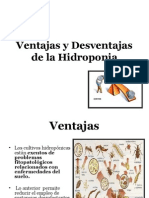 Cultivo HIDRO Ventajas