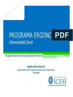 Programa de ergonomia.pdf