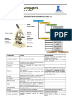 MicroscÓpio Óptico Composto (M.o.c.)