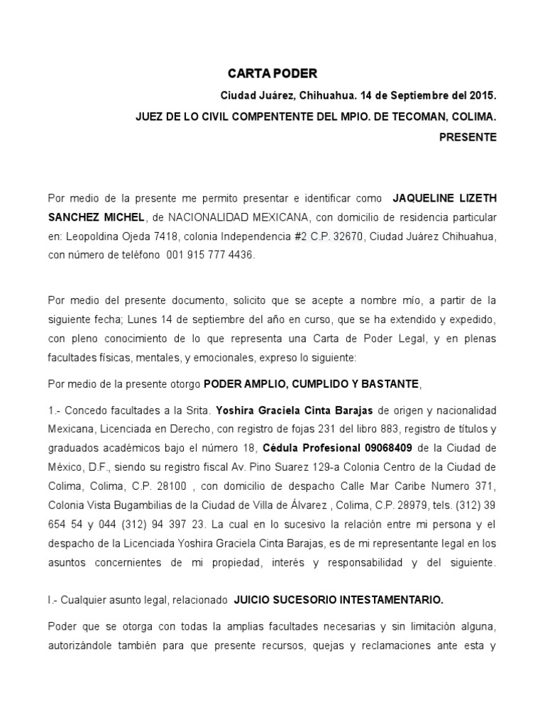 Carta Poder LEGAL Política Gobierno