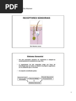 Receptores Da Dor