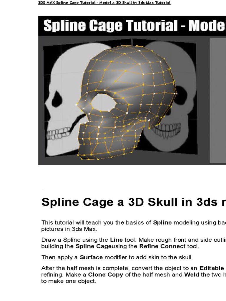 3ds Max Spline Cage Tutorial Pdf Autodesk 3ds Max Vertex Geometry