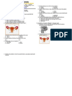 Ulangan Sistem Reproduksi