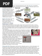 Download The Rock Cyclepdf by AlipAlBashri SN280148023 doc pdf