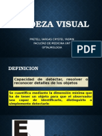 Agudeza Visual