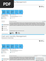 Cash and Liquidity Management