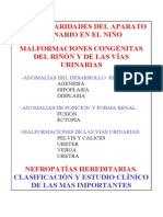 Clase de Malformaciones Renales