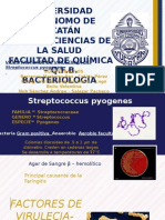 Factores de Virulencia de Streptococcus Pyogenes