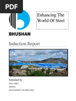 Bhushan Steel