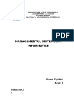 Managementul Sistemelor Informatice