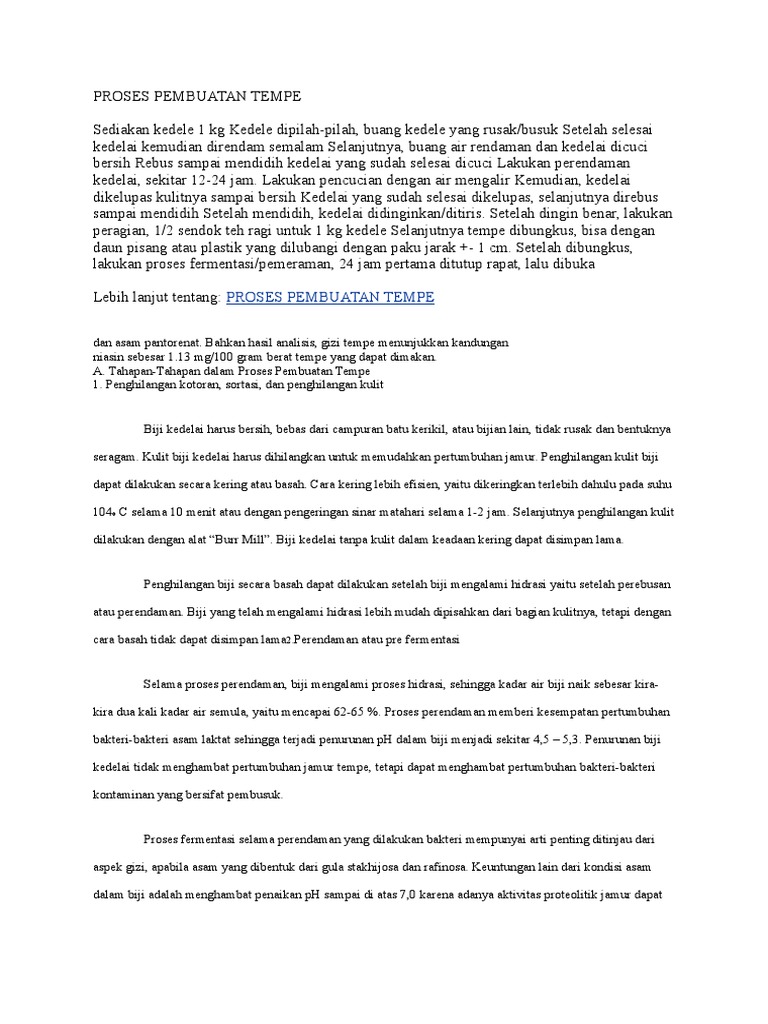 Proses Pembuatan Tempe
