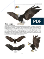 Bald Eagle Papercraft Model with Detailed Instructions
