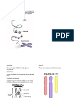 Biology Vocabulary Booklet