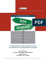 COSO-ERM Demystifying Sustainability Risk_Full WEB
