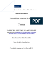 TESINA Luis - Caraballo Caraballo El Despino Objetivo 2010