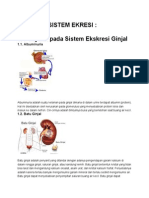 Penyakit Sistem Ekresi