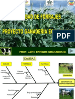 CALIDAD DE FORRAJES Jairo Granados.pdf
